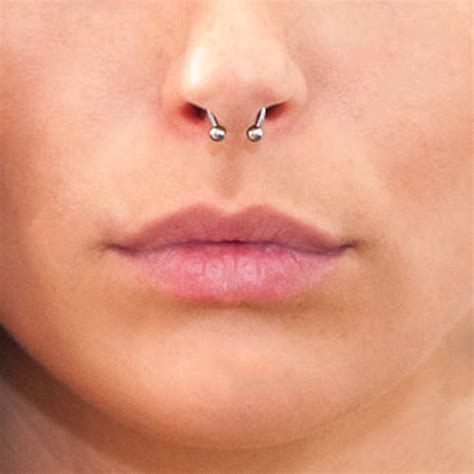 Where To Pierce Your Septum Diagram General Wiring Diagram