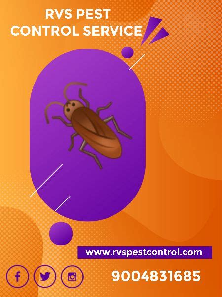 Service Provider Of Cockroach Pest Control Service And Bedbugs Pest Control Service Rvs Pest