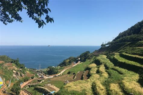 Enjoy Nature And Hike By The Sea Relaxing Namhae Day Tour 2022 Busan