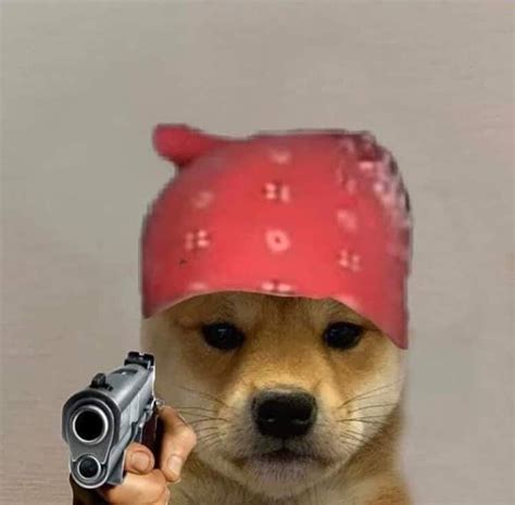 Pin By Carlos Pérez On Memes Dog Mode Dog Icon Dog Memes