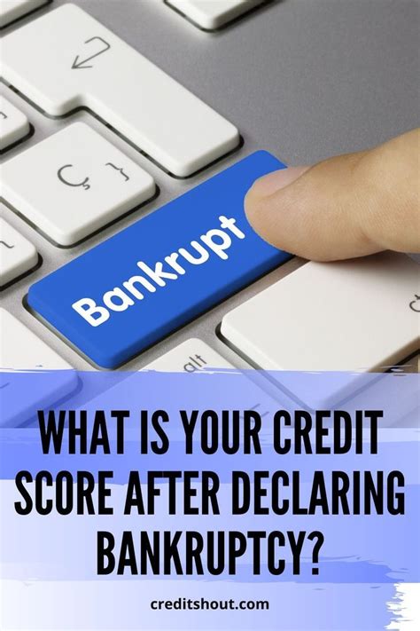 Are you eligibile for store credit cards after bankruptcy? What is Your Credit Score after Declaring Bankruptcy? in 2020 | Credit score, Credit card hacks ...