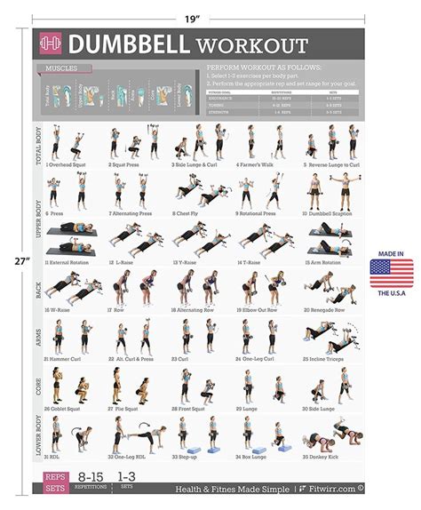 Dumbbell Exercises Workout Poster Now Laminated