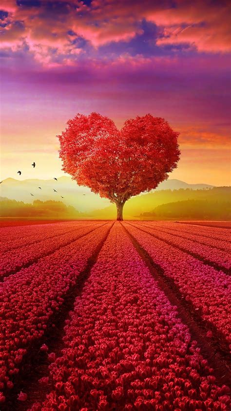 Heart Tree Field 4k Beautiful Landscape Wallpaper Love