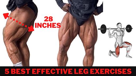 Leg Workout For Men To Build Bigger Legs Effective Leg Exercises