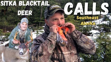 Sitka Black Tail Deer Calls Southeast Alaska Youtube