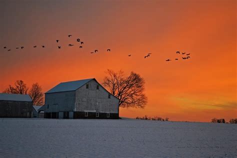 Featured Photo A Winter Sunset On The Farm Bucks Happening