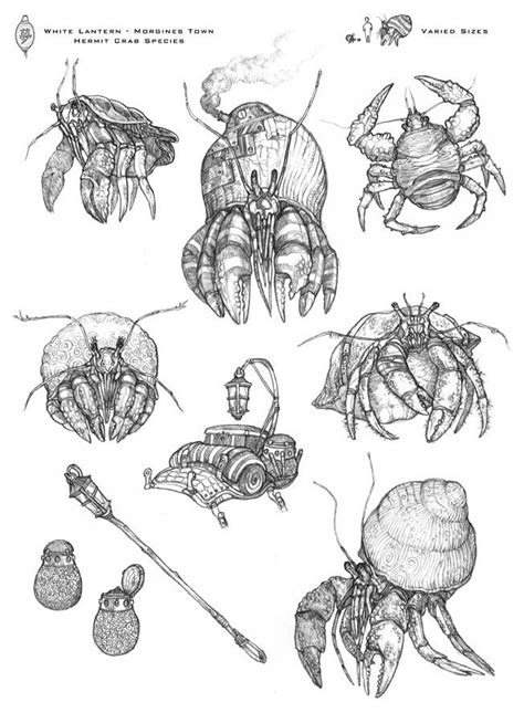 736x736 17 best cancer zodiac images on cancer crab tattoo. hermit crabs | Animal sketches, Sea creatures drawing ...