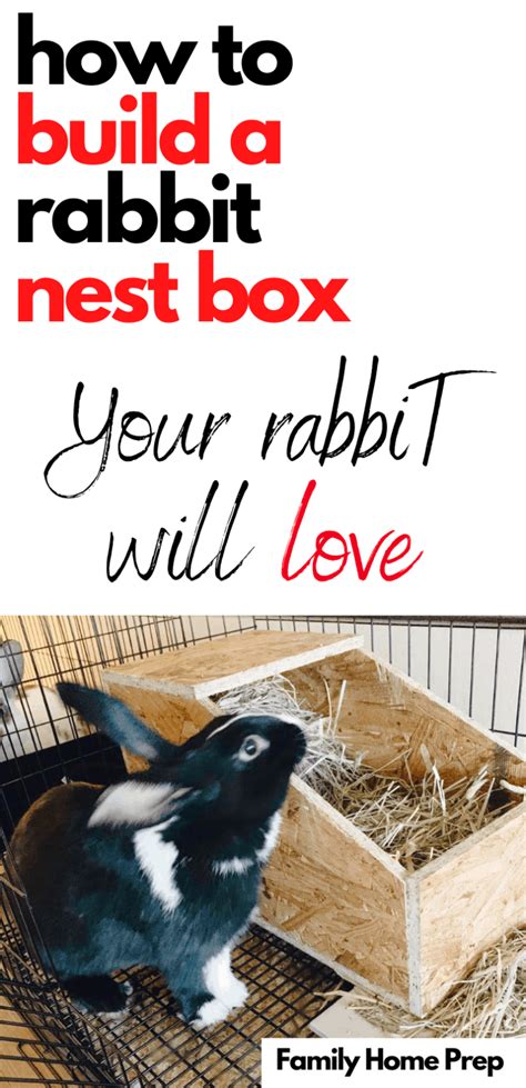 How To Build A Rabbit Nest Box 5 Easy Steps