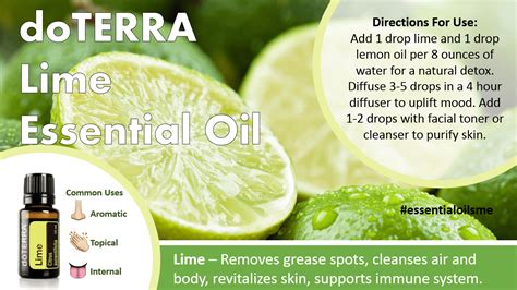 Doterra Lime Essential Oil Uses