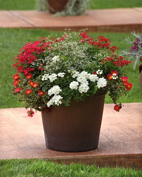 Gardeners Share Their Top Container Gardening Ideas Birds And Blooms