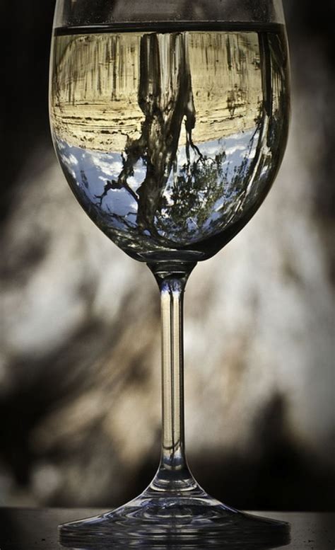 11 Best Images About Wine Glasses On Pinterest Stains Reflection
