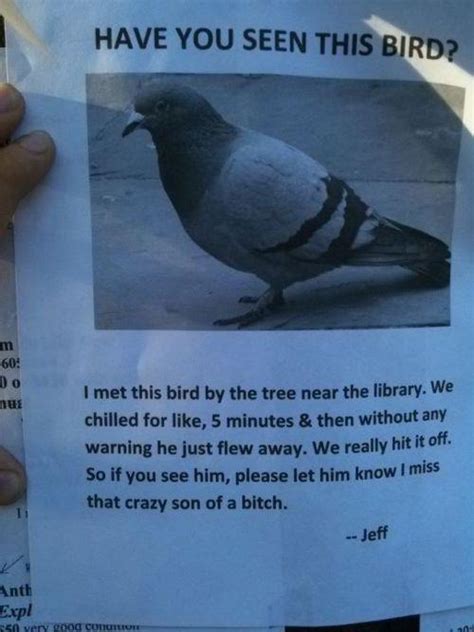 Have You Seen This Bird Really Funny Pictures Collection On
