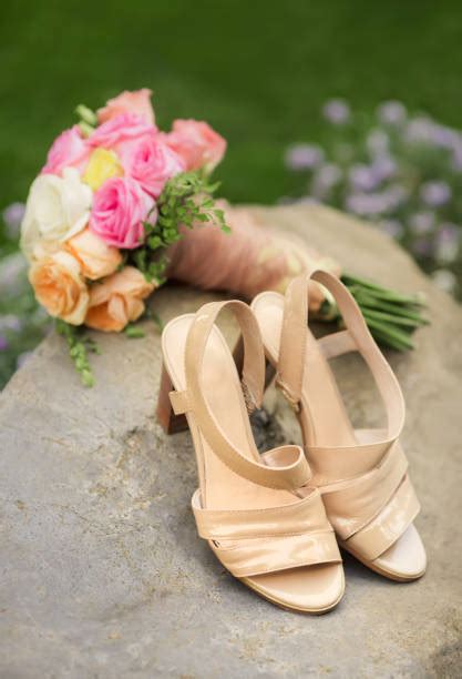 Cream Wedding Shoes Stock Photos Pictures And Royalty Free Images Istock