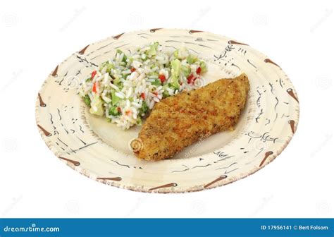 Fish And Rice On Plate Stock Image Image Of Background 17956141