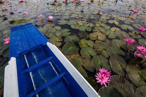 Red Lotus Lake Tambon Chiang Haeo Thailand Atlas Obscura
