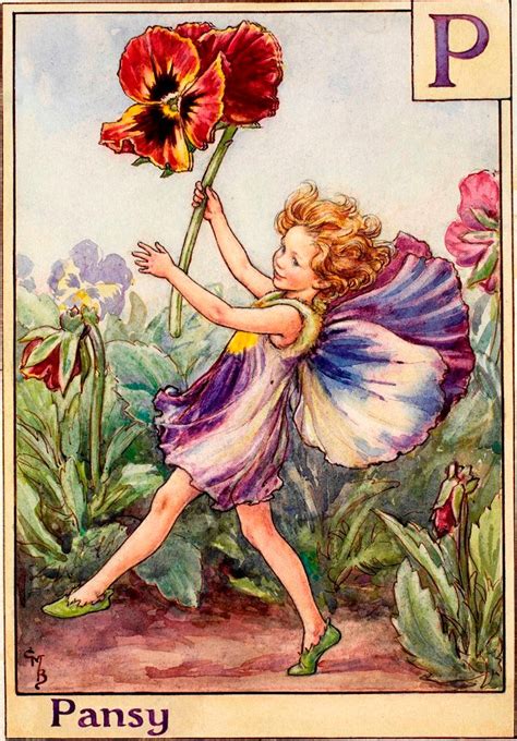 The Pansy Fairy Flower Fairies Cicely Mary Barker Flower Fairies