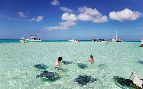 SPOTLIGHT Grand Cayman Island Destinations To Explore