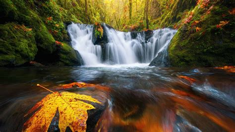 Best Nature Scenery Waterfall Stream From Rocks Algae Yellow Brown Dry