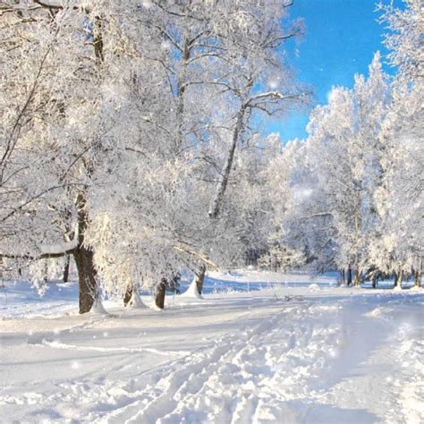 10 Latest Free Winter Scene Screensavers Full Hd 1920×1080