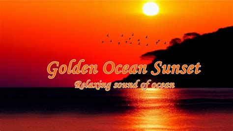 Golden Ocean Sunset Sounds Of Ocean Waves Youtube
