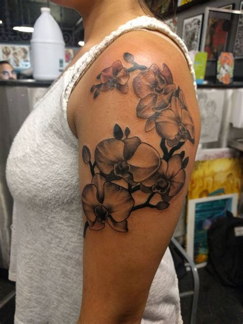 Im winter ist langlauf auf gespurten loipen möglich. Orchideen von Carlos Montilla bei Visible Ink Malden MA in ...