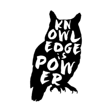 Knowledge Is Power Owl Owls T Shirt Teepublic