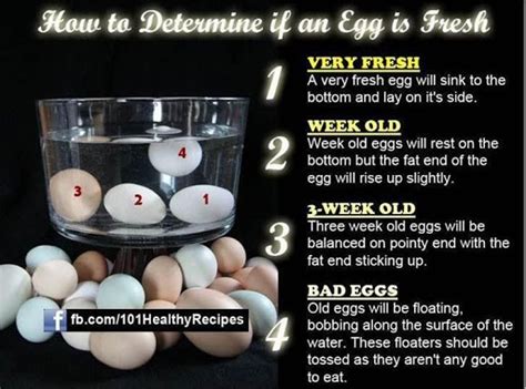 How To Test If Eggs Are Bad