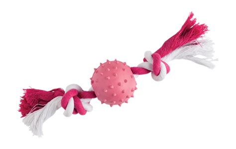 Dog Toy Png Png Image Collection