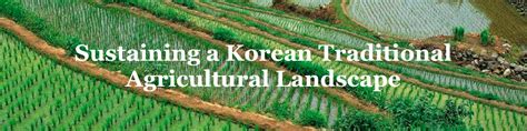 Sustaining A Korean Traditional Rural Landscape Center For Heritage