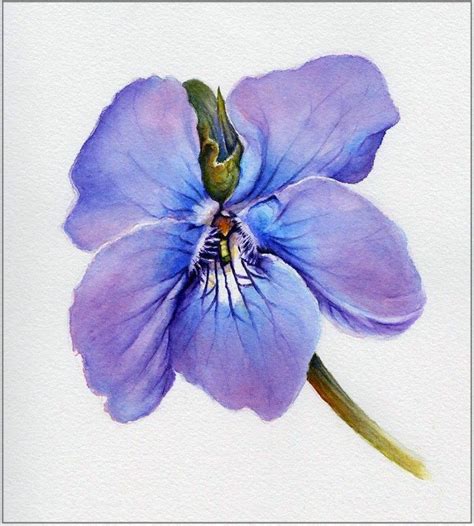 Violet Botanical Watercolor Painting Art