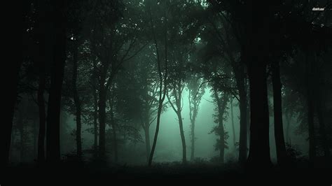 Night Forest Wallpapers Top Free Night Forest Backgrounds WallpaperAccess