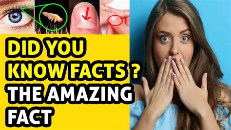 Did You Know Facts 15 Amazing Fact Lets Know How Youtube