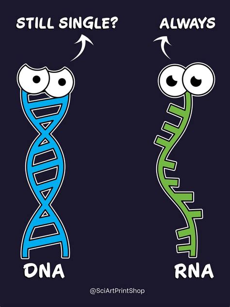 Dna Rna Funny Biology T In 2021 Biology Humor Biology T