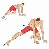 Sartorius Muscle Strengthening Exercises Images