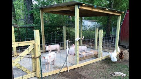 Pig Pen Pig Farm Layout Design See More