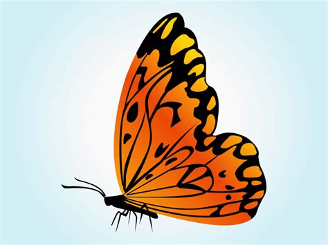 70 Butterfly Svg Images SVG PNG EPS DXF File