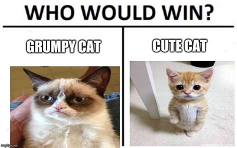 Grumpy Cat Or Cute Cat Imgflip