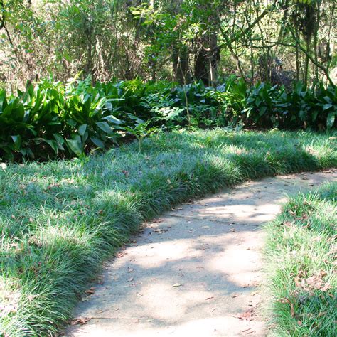 Besides its social and legal importance, a child's garden of grass reloaded can end depression and be used for anger management. The Rainforest Garden: More Inspiration From Kanapaha