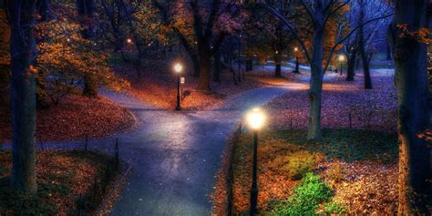 Park Evening Trees Fall Hd Nature 4k Wallpapers Images Backgrounds