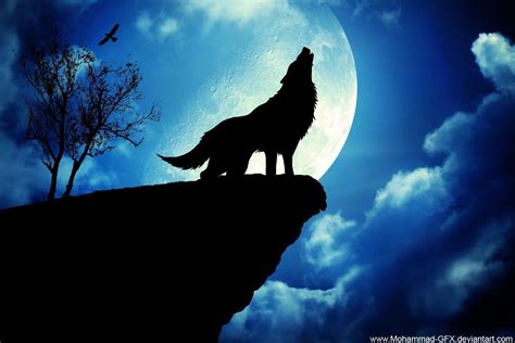 See the best hd wolf backgrounds collection. Cool Wolf Backgrounds - Wallpaper Cave