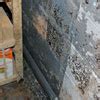 A minimum of two coats of this product are required for optimal results. The Case Against Waterproof Paints & Wall Coatings | Why ...