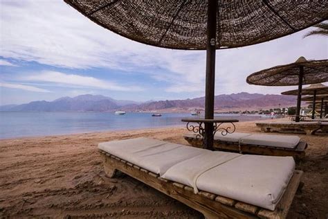 Tirana Dahab Resort Updated 2018 Prices And Reviews Egypt Tripadvisor