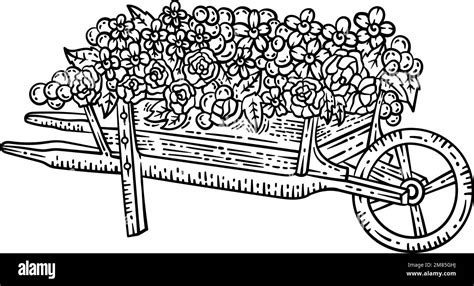 Wheelbarrow Flowers Spring Coloring Page For Adult Stock Vector Image