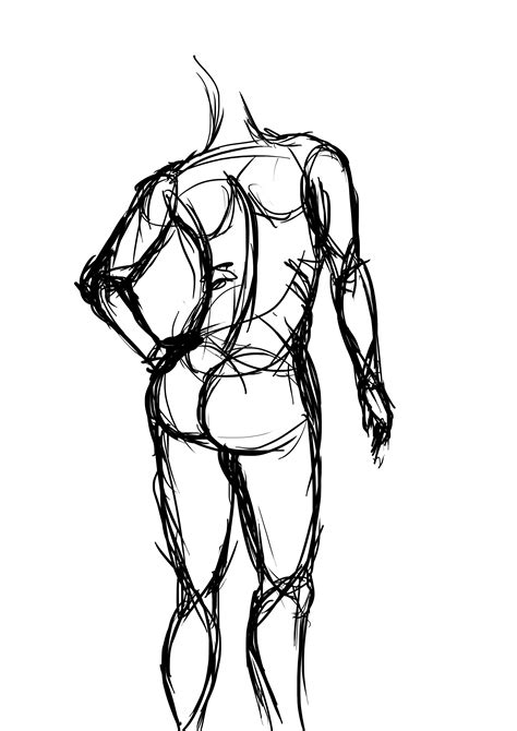 Anatomical Drawing Of Human Body Figure Drawing Proportion And