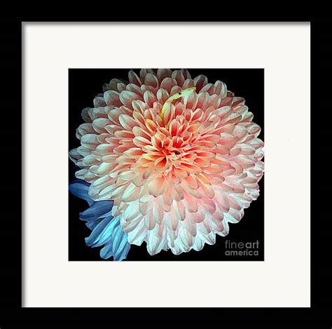 Beauty The Round Framed Print By Jasna Dragun