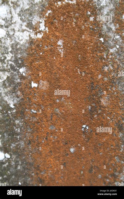 Texture Background Natural Weathering Mottled Stock Photo Alamy