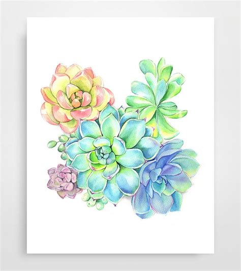 Colorful Succulents Watercolor Painting Cactus Print Botanical Prints