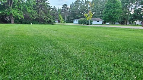 Scotts watersmart grass seed turf builder, starter food for new grass. Scotts Turf Builder Weed And Feed | 1 Week Update - YouTube