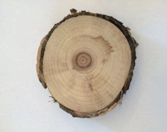 Inch X Inch Thick Cottonwood Wood Slice Wood Wood Crafts