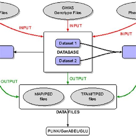 Workflow Chart This Figure Shows The Data Workflow First The